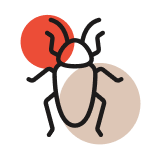 Pest inspections
