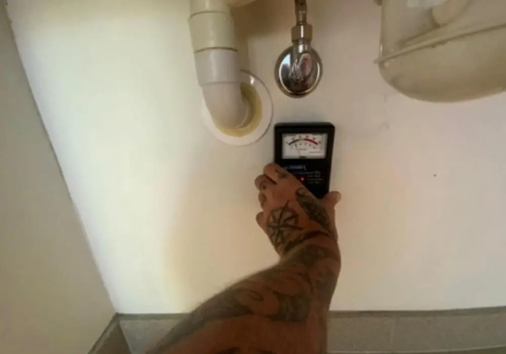 Termite inspection and excessive moisture in North Geelong 1000x700 1